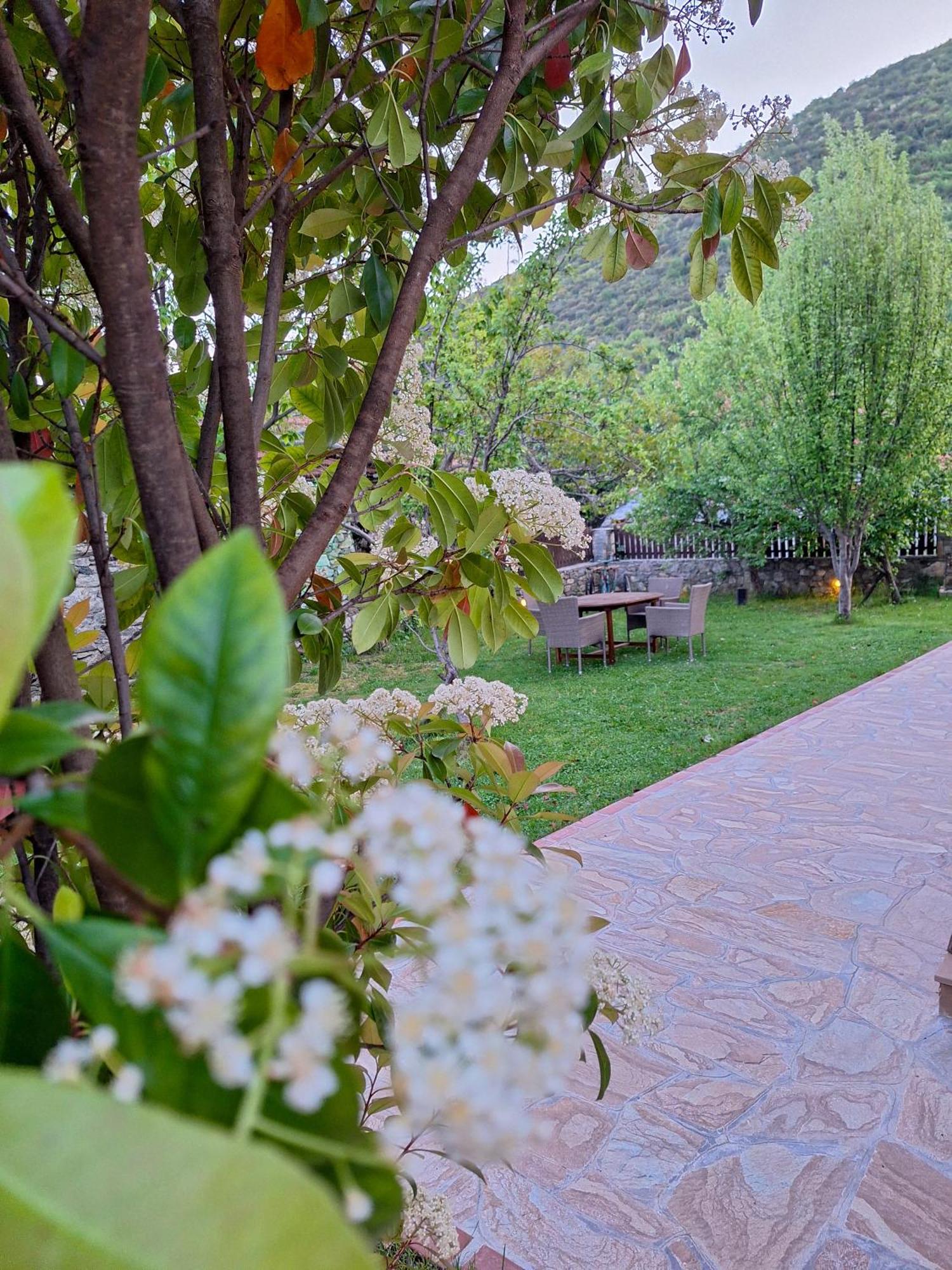 Country House On Mount Olympus Karia  ภายนอก รูปภาพ