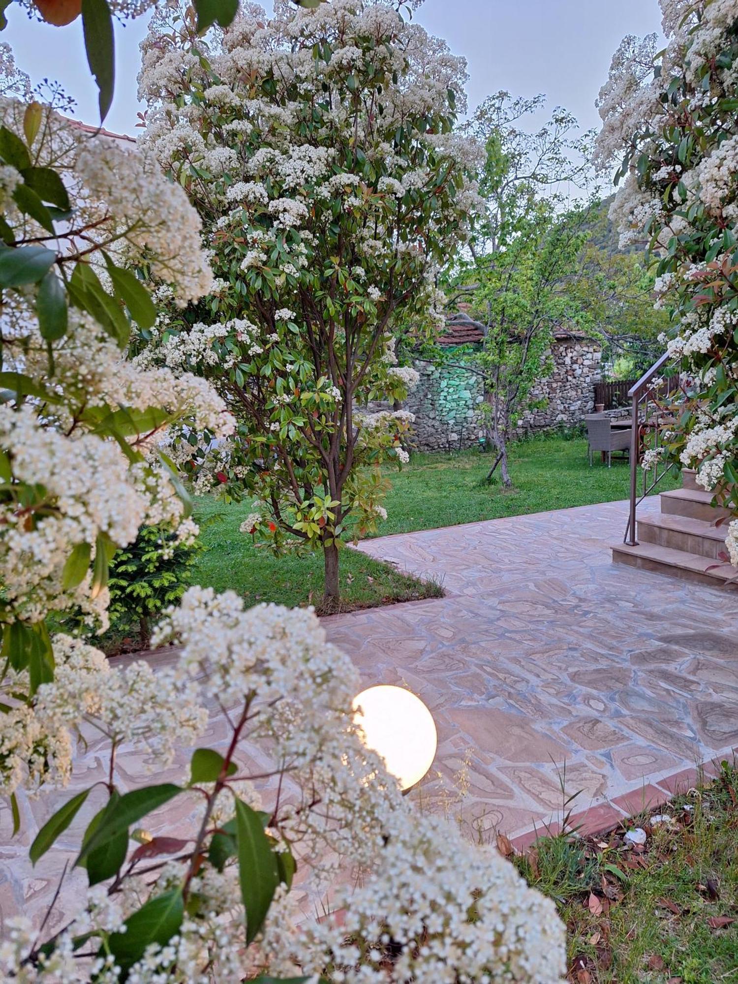 Country House On Mount Olympus Karia  ภายนอก รูปภาพ